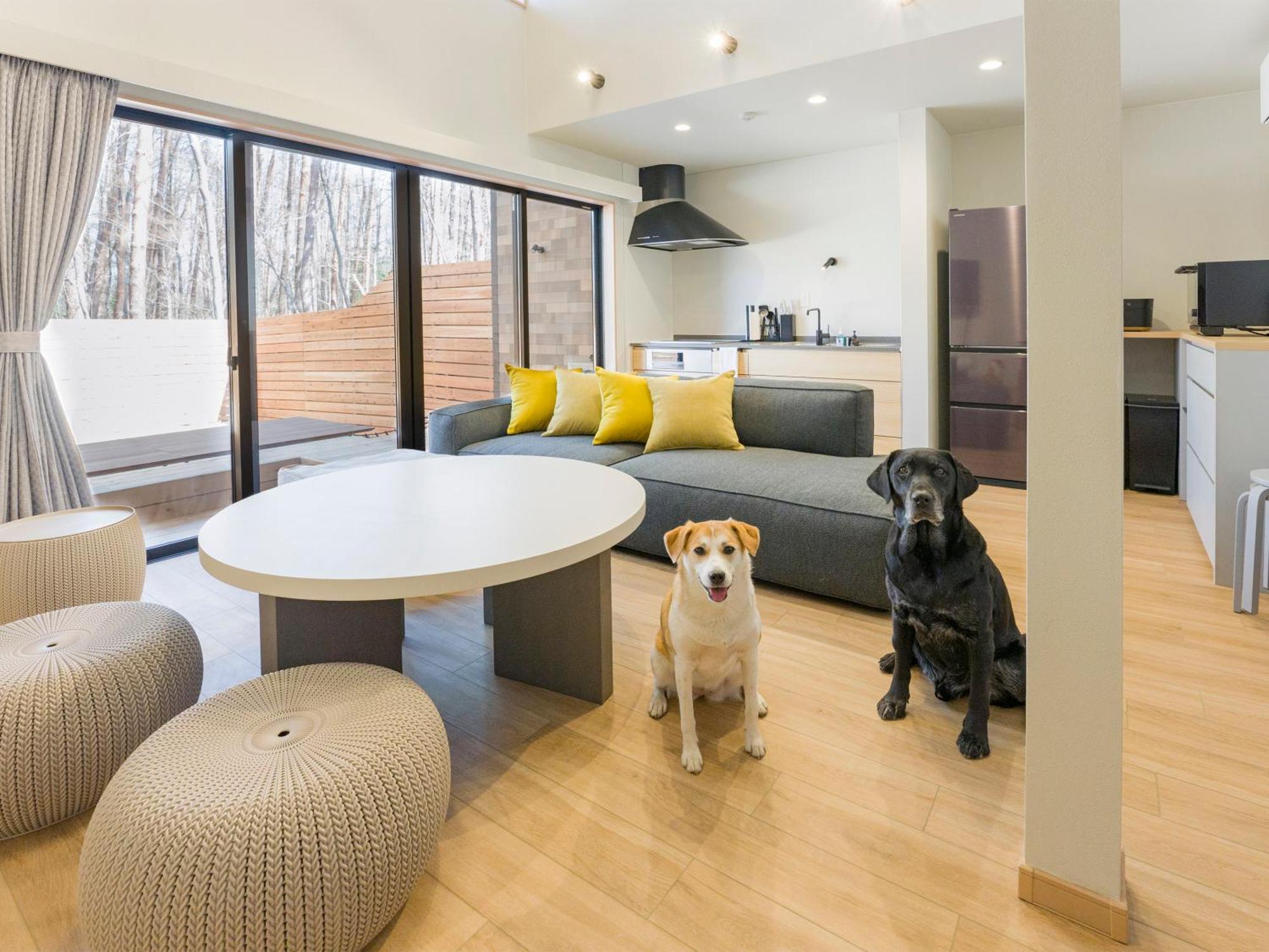Rakuten Stay Villa Fujikawaguchiko Forest Extérieur photo