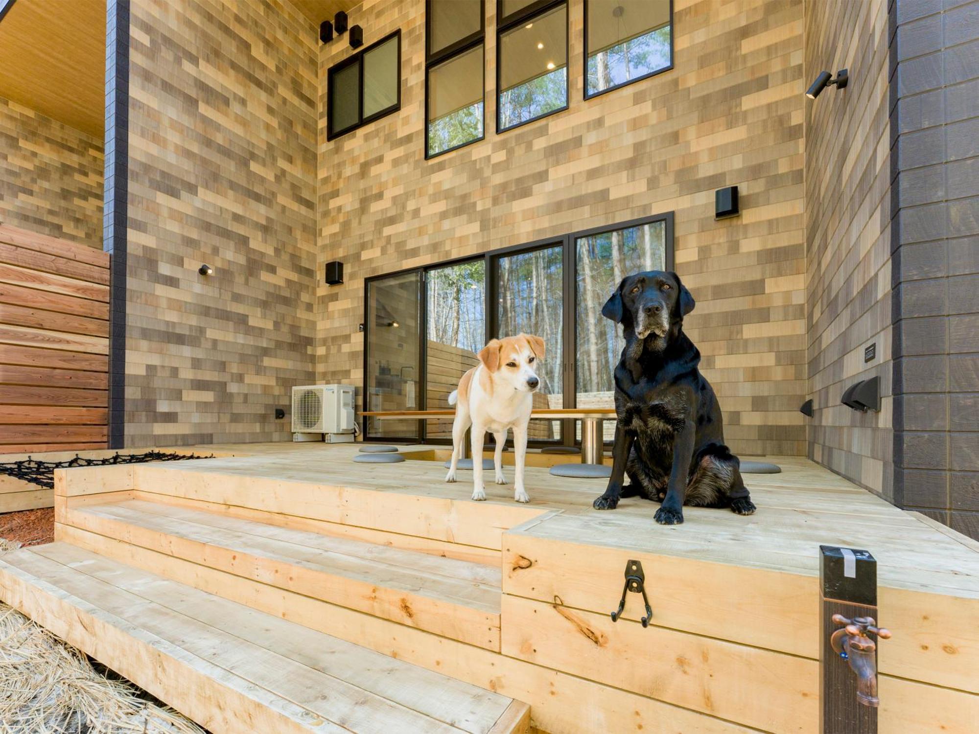 Rakuten Stay Villa Fujikawaguchiko Forest Extérieur photo