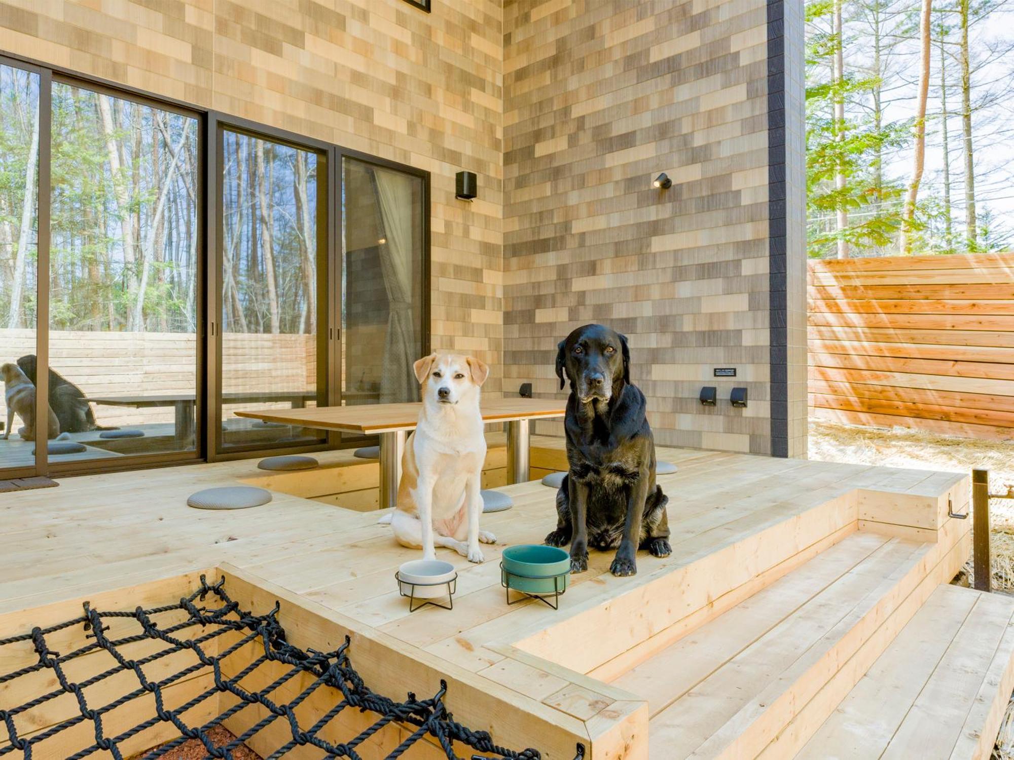 Rakuten Stay Villa Fujikawaguchiko Forest Extérieur photo